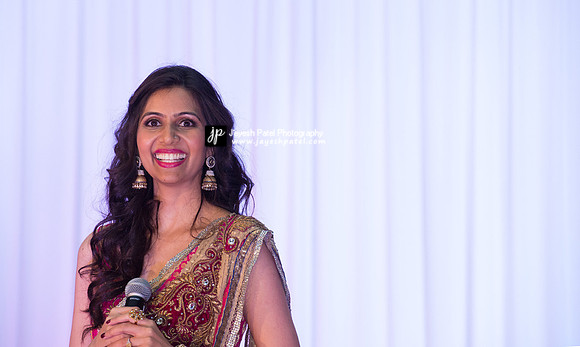 Arya Diwali Party 2014 & Dance-486