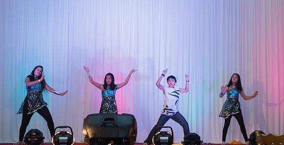 Arya Diwali Party 2014 & Dance-287